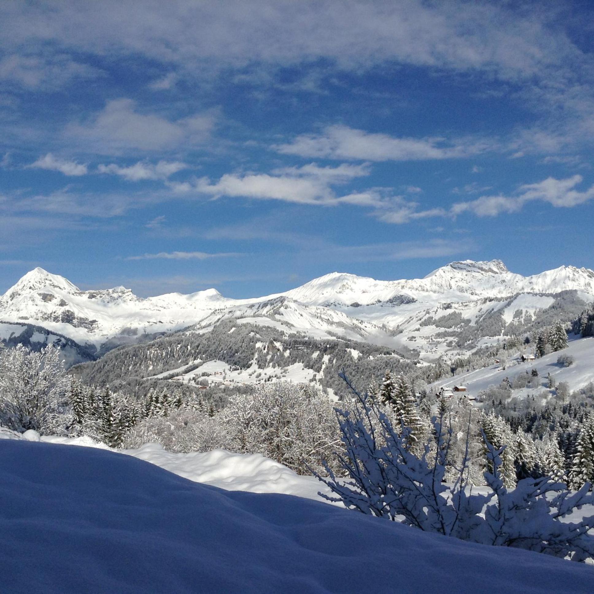 Chalets Savoie Les Chalets D'Heidi Notre-Dame-de-Bellecombe Eksteriør bilde