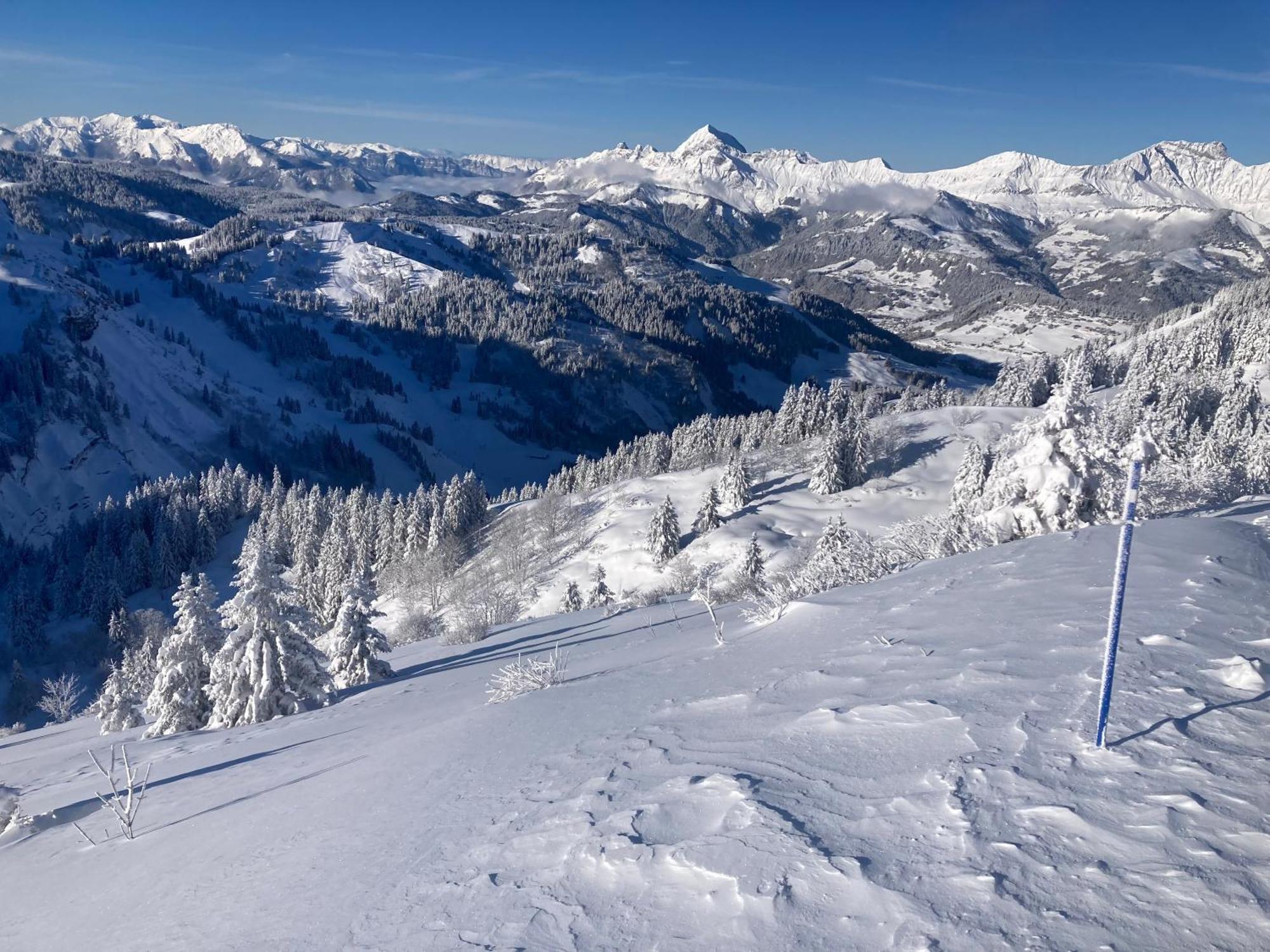 Chalets Savoie Les Chalets D'Heidi Notre-Dame-de-Bellecombe Eksteriør bilde