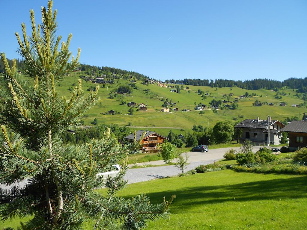 Chalets Savoie Les Chalets D'Heidi Notre-Dame-de-Bellecombe Eksteriør bilde